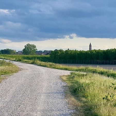 Agriturismo Loghino Sabbioni Villa Suzzara Luaran gambar