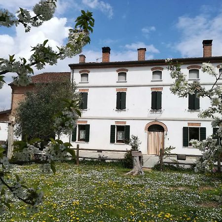 Agriturismo Loghino Sabbioni Villa Suzzara Luaran gambar