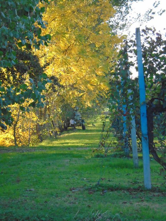 Agriturismo Loghino Sabbioni Villa Suzzara Luaran gambar