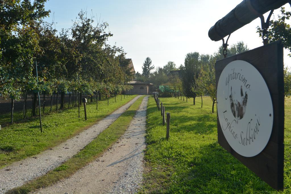 Agriturismo Loghino Sabbioni Villa Suzzara Luaran gambar