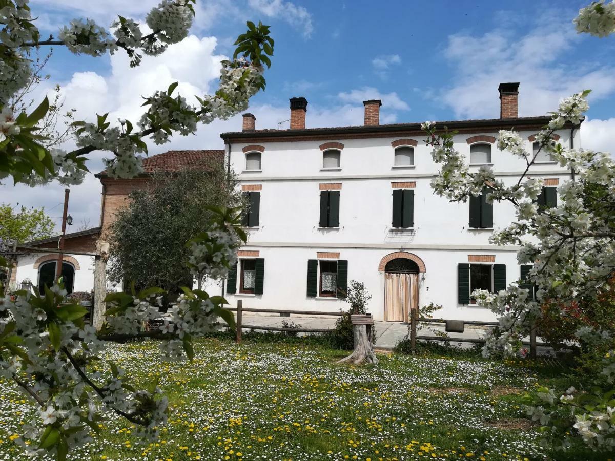 Agriturismo Loghino Sabbioni Villa Suzzara Luaran gambar