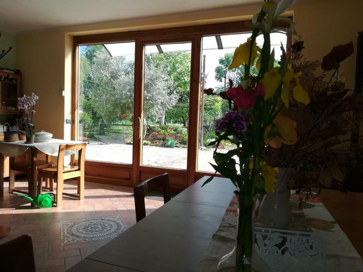 Agriturismo Loghino Sabbioni Villa Suzzara Luaran gambar